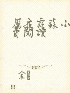 厉夜霆苏小汐免费阅读