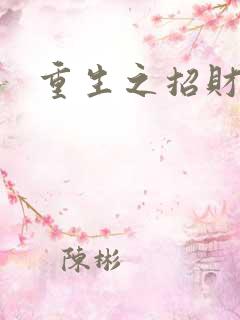 重生之招财进宝
