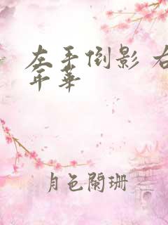 左手倒影 右手年华