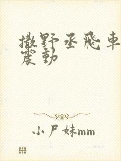 撒野丞飞车道具震动