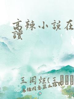 高辣小说在线阅读