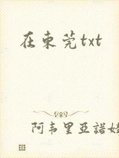 在东莞txt