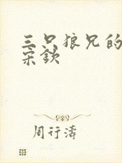 三只狼兄的宠妻宋钦