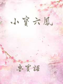 小宝六凤