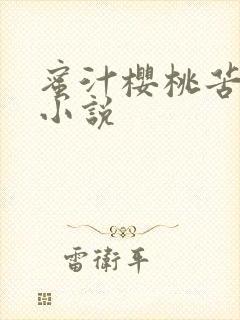 蜜汁樱桃苦咖啡小说