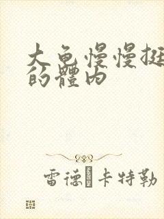 大龟慢慢挺进我的体内