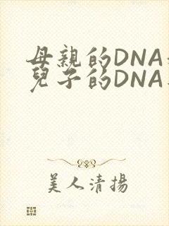 母亲的DNA和儿子的DNA是一样的吗