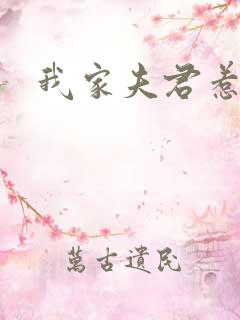 我家夫君惹不起