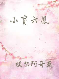 小宝六凤