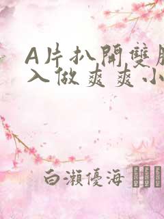 A片扒开双腿进入做爽爽小说