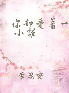 你却爱着一个他 小说