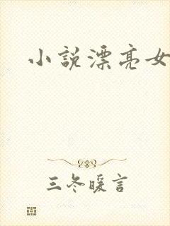 小说漂亮女局长