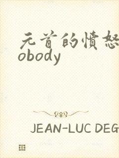 元首的愤怒之nobody