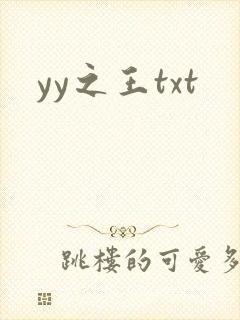 yy之王txt