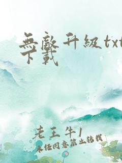 无敌升级txt下载