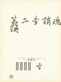 第二章销魂的交换