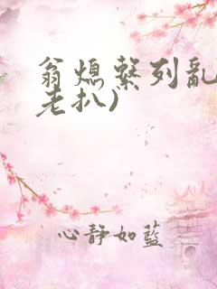 翁熄系列乱 (老扒)