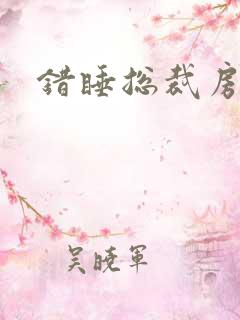 错睡总裁房