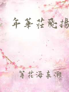 年华庄飞扬