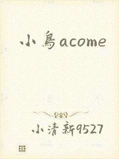 小鸟acome