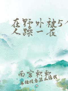 在野外被5个男人躁一夜