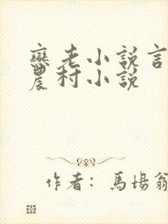 恋老小说言情网农村小说