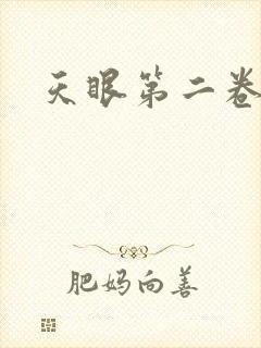 天眼第二卷