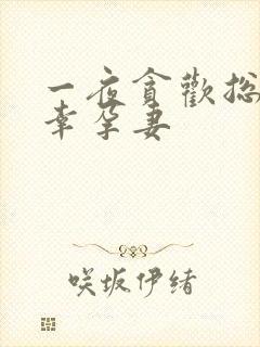 一夜贪欢总裁的幸孕妻