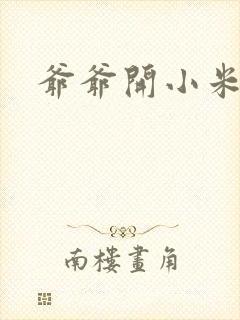 爷爷开小米的处