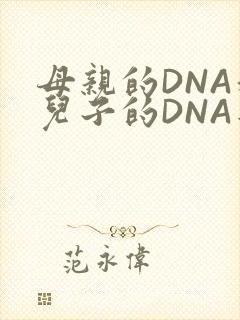 母亲的DNA和儿子的DNA是一样的吗