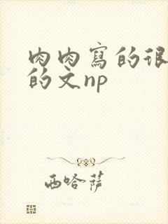 肉肉写的很细致的文np