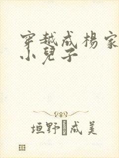 穿越成杨家将最小儿子