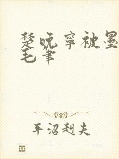 楚晚宁被墨燃塞毛笔