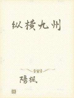 纵横九州