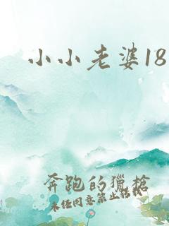 小小老婆18岁