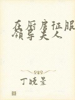 在厨房征服美丽领导夫人