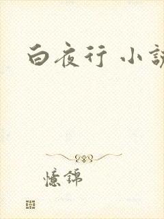 白夜行 小说