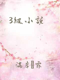 3级小说