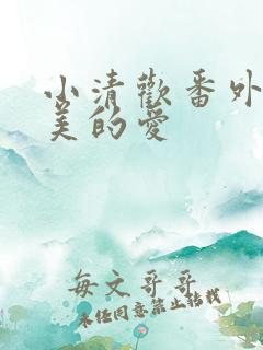 小清欢番外篇完美的爱