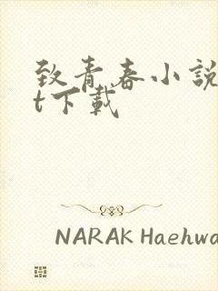 致青春小说txt下载