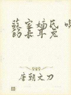 苏家嫡氏 吃肉的长耳兔