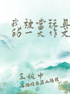 我被当玩具发泄的一天作文