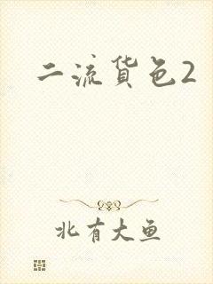 二流货色2