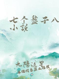 七个盘子八个碗小说
