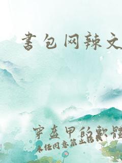 书包网辣文