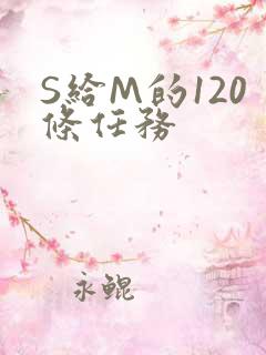 S给M的120条任务