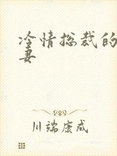 冷情总裁的出逃妻