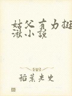 姑父有力挺送徐湫小说