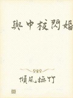与中校闪婚