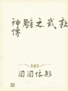 神雕之武敦儒大传